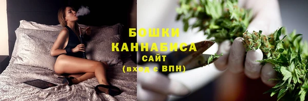 2c-b Заводоуковск