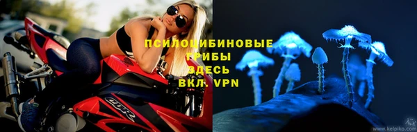 2c-b Заводоуковск
