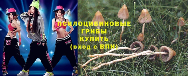 apvp Заволжье