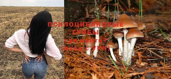 мдпв Заволжск
