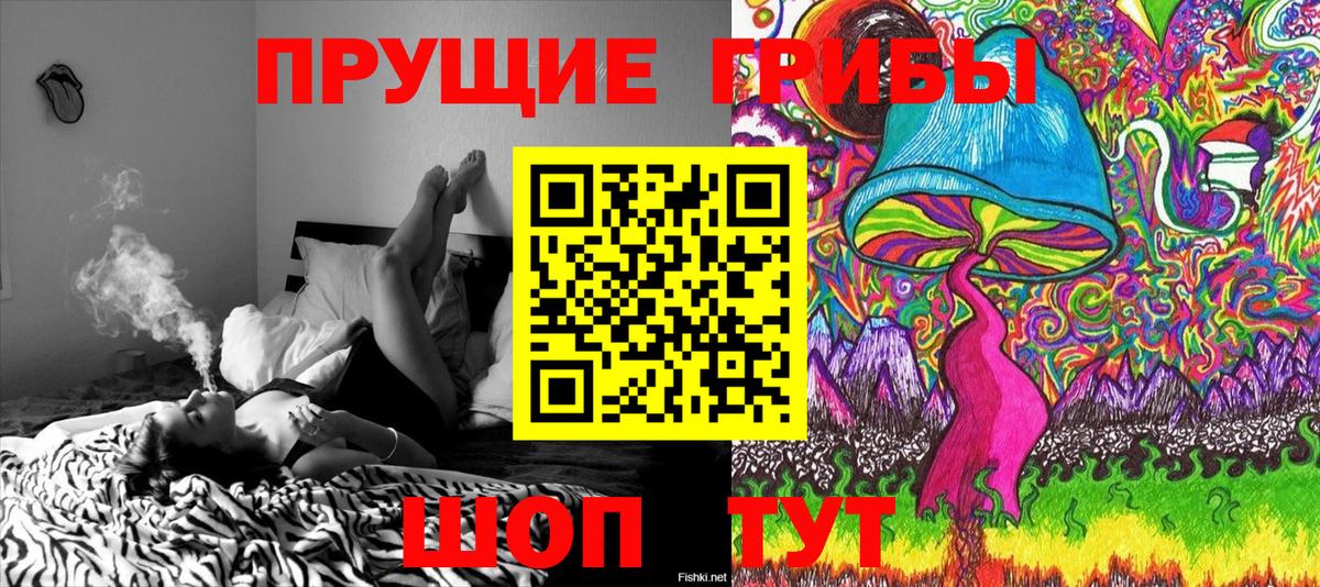Псилоцибиновые грибы Psilocybine cubensis Знаменск